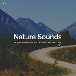 #01 Nature Sounds for Mindful Breathing, Spa Treatments and Road Trips - The Nature Soundscapes
