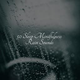 50 Sleep Mindfulness Rain Sounds - Rainforest