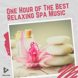 1 Hour of The Best Relaxing Spa Music - #Relaxing