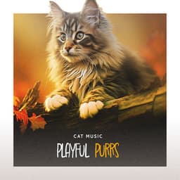 Playful Purrs - Cat Music