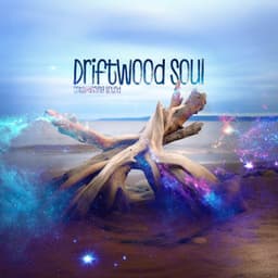 Driftwood Soul - Ontspanning Sound
