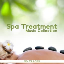 Spa Treatment Music Collection: 50 Tracks of Soothing Massage Music, Wellness - Well-Being Center