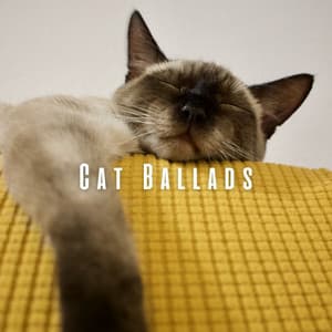 Cat Ballads: Music for Soulful Meows - Noise Radio 1
