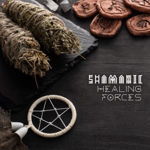 Shamanic Healing Forces: Spiritual Awakening Stages, Self-Awareness - Spiritual Power Control