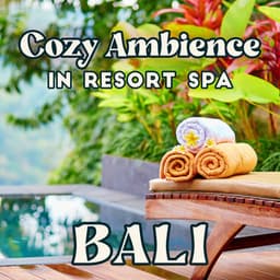 Cozy Ambience in Resort Spa Bali Wellness Collection 2023 - Spa Experience Chill
