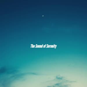 The Sound of Serenity - Musica per Rilassarsi
