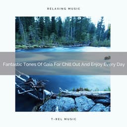 Fantastic Tones Of Gaia For Chill Out And Enjoy Every Day - Calm Water Sounds
