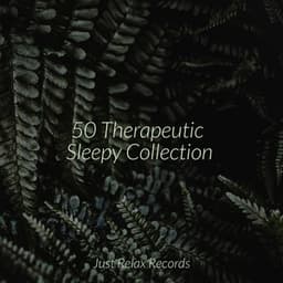 50 Therapeutic Sleepy Collection - Yoga