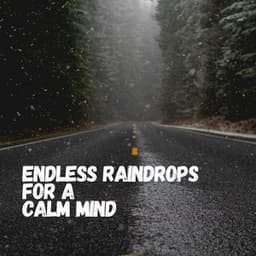 Endless Raindrops for a Calm Mind - Rainfall