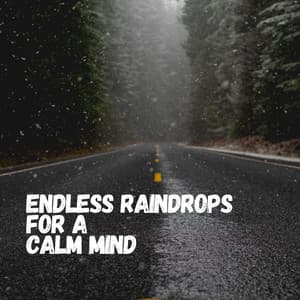 Endless Raindrops for a Calm Mind - Rainfall
