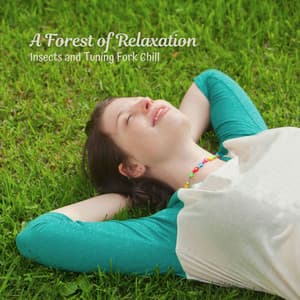 A Forest of Relaxation: Insects and Tuning Fork Chill - Best Nature Sounds