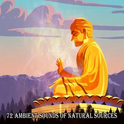 72 Ambient Sounds Of Natural Sources - Meditation Masters