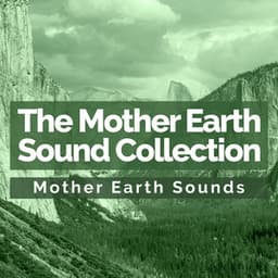 The Mother Earth Sound Collection - Mother Earth Sounds