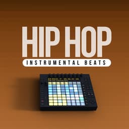 Earthly Lofi Hip Hop Beats - Hip Hop Instrumental Beats