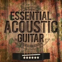 Essential Acoustic Guitar - Guitar Masters