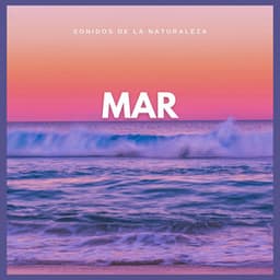 Sonidos de la Naturaleza: Mar - Sonido Del Bosque y Naturaleza