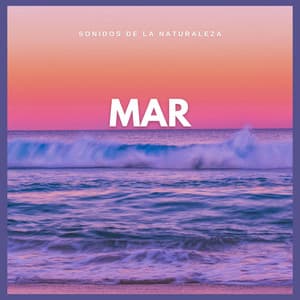 Sonidos de la Naturaleza: Mar - Sonido Del Bosque y Naturaleza