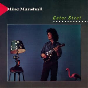 Gator Strut - Mike Marshall