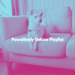 Pawsitively Deluxe Playlist - Coffee House Smooth Jazz Playlist