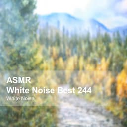 White Noise ASMR Best 244 - White Noise