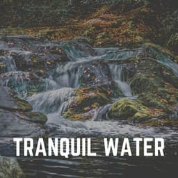 Tranquil Water - Babbling Brook