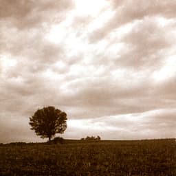 Homenatges a Mompou - Jordi Masó