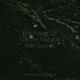 The Power Of Nature: Natural Rain Sounds - Brain Study Music Guys