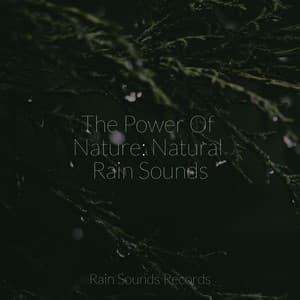 The Power Of Nature: Natural Rain Sounds - Brain Study Music Guys