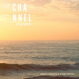 Indigo Currents & Silent Depths - Sea Noise Channel