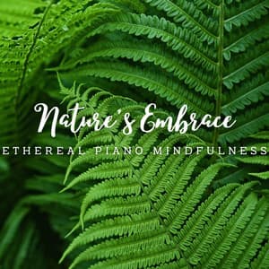 Piano Reverie: Meditative Melodies in Nature's Embrace - Bright Noise for Meditation
