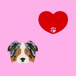 Subdued Jazz Violin - Background for Doggy and Lullaby - Puppy Sleeping Sounds