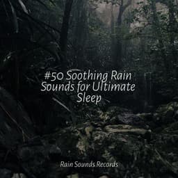 #50 Soothing Rain Sounds for Ultimate Sleep - Ocean Waves For Sleep