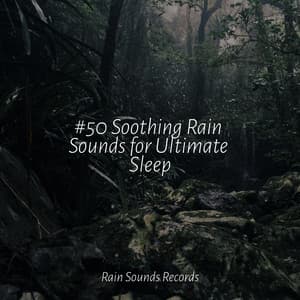 #50 Soothing Rain Sounds for Ultimate Sleep - Ocean Waves For Sleep