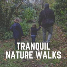 Tranquil Nature Walks - Organic Sound