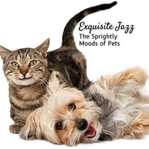 Exquisite Jazz: The Sprightly Moods of Pets - Chilled Jazz Atmosphere