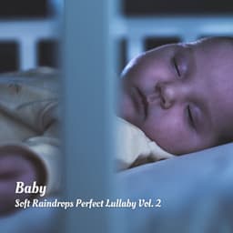 Baby: Soft Raindrops Perfect Lullaby Vol. 2 - Pure Baby Sleep
