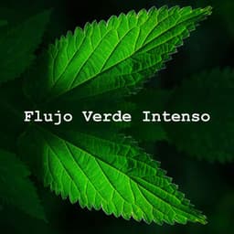 Flujo Verde Intenso - Sonidos De Aves
