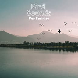 Bird Sounds For Serenity - Natural Sample Makers