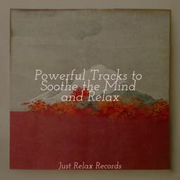 Powerful Tracks to Soothe the Mind and Relax - Musica para Meditar