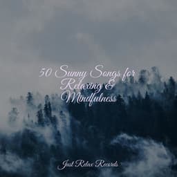 50 Sunny Songs for Relaxing & Mindfulness - Música Para Meditar y Relajarse