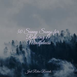 50 Sunny Songs for Relaxing & Mindfulness - Música Para Meditar y Relajarse