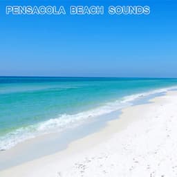 Pensacola Beach Sounds - National Geographic Nature Sounds