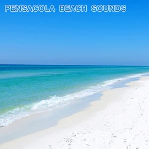 Pensacola Beach Sounds - National Geographic Nature Sounds
