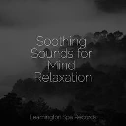 Soothing Sounds for Mind Relaxation - Calming Rainforest Sounds