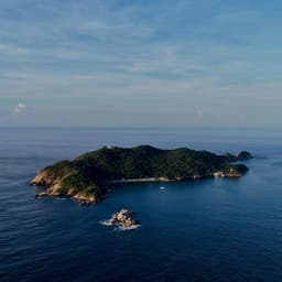 1 Atmosphere: Mind’s Garden - Nature Sound Collection