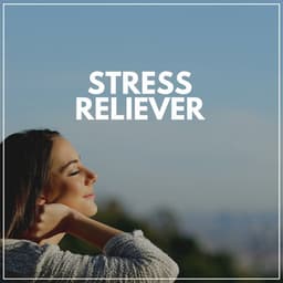 Stress Reliever - Ambient Sample Library