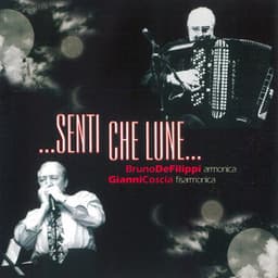 ...Senti che lune... - Bruno De Filippi