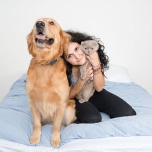 Piano Rain's Serenade for Happy Pets - Piano Animal