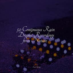 50 Continuous Rain Droplet Recordings from Nature - Rainfall