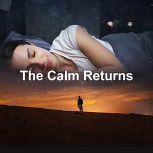 The Calm Returns - The Background Noise Company